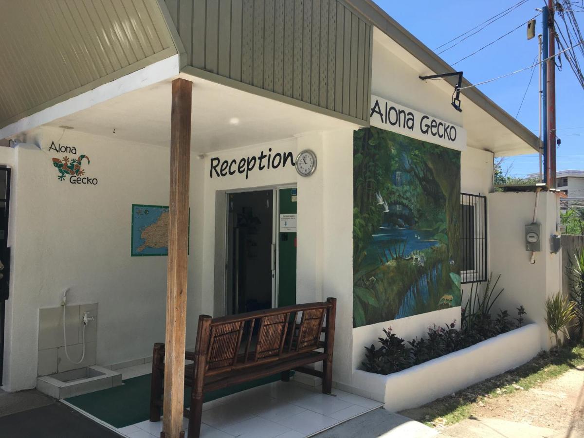 Alona Gecko Inn Panglao Exterior photo